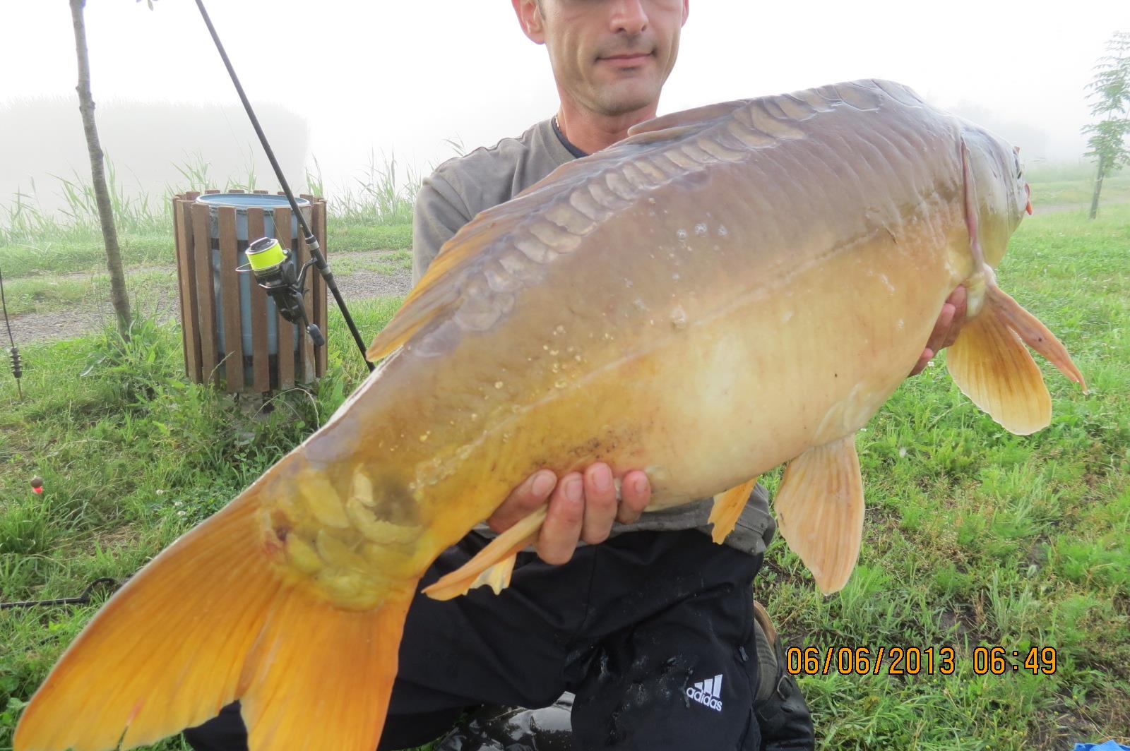 The best pictures of 2013 - img0851-1127-kg.JPG